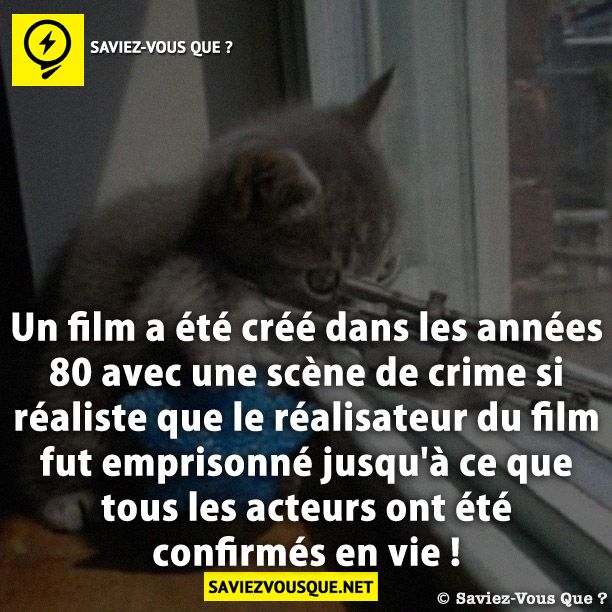 Un film a été créé dans les années 80 avec une scène de crime si réaliste que le réalisateur du film fut emprisonné jusqu&#039;à ce que tous les acteurs ont été confirmés en vie !