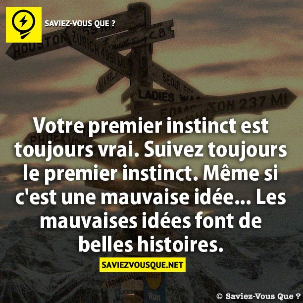 Votre premier instinct est toujours vrai. Suivez toujours le premier instinct. Même si c'est une mauvaise idée... Les mauvaises idées font de belles histoires.