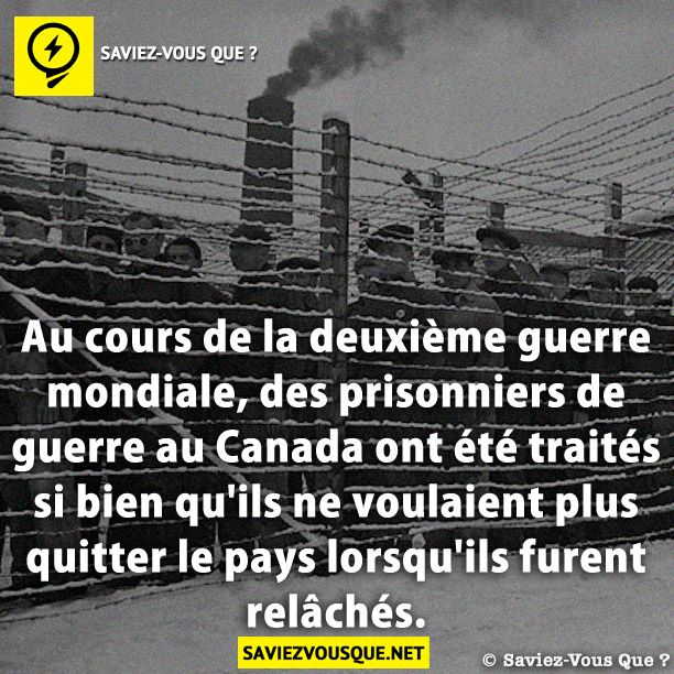 Au cours de la deuxième guerre mondiale, des prisonniers de guerre au Canada ont été traités si bien qu&#039;ils ne voulaient plus quitter le pays lorsqu&#039;ils furent relâchés.