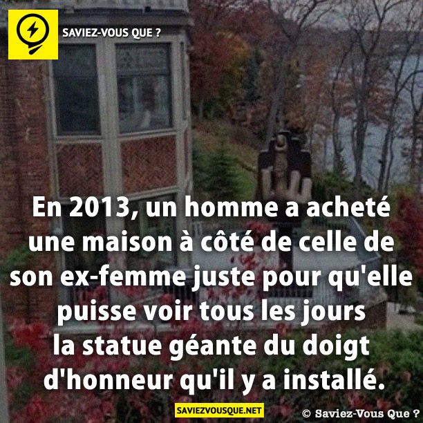 En 2013, un homme a acheté une maison à côté de celle de son ex-femme juste pour qu&#039;elle puisse voir tous les jours la statue géante du doigt d&#039;honneur qu&#039;il y a installé.