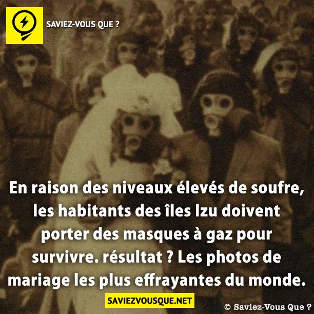 En raison des niveaux élevés de soufre, les habitants des îles Izu doivent porter des masques à gaz pour survivre. résultat? Les photos de mariage les plus effrayantes du monde.