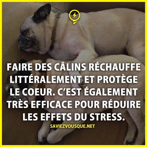 Faire des câlins réchauffe littéralement et protège le cœur. C'est également très efficace pour réduire les effets du stress.