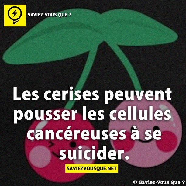 Les cerises peuvent pousser les cellules cancéreuses à se suicider.
