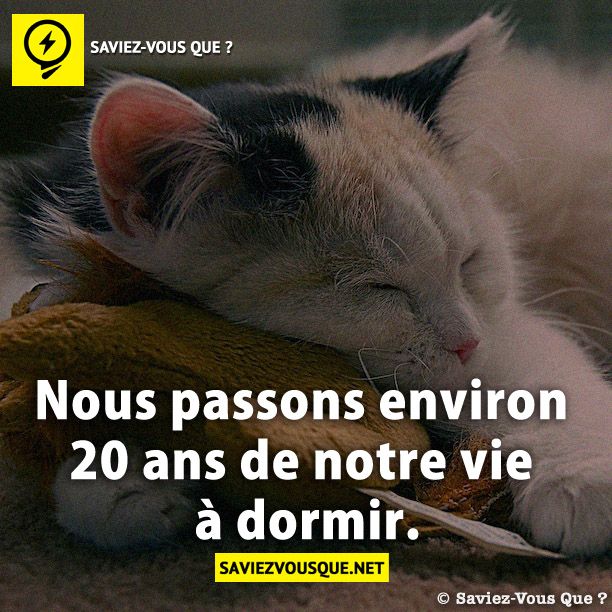 Nous passons environ 20 ans de notre vie à dormir.