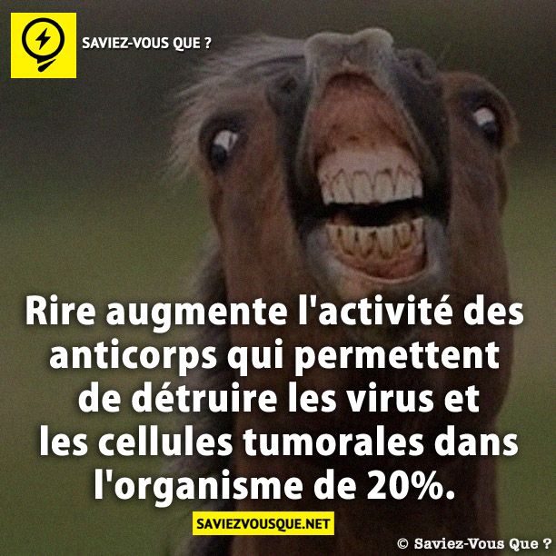 Rire augmente l&#039;activité des anticorps qui permettent de détruire les virus et les cellules tumorales dans l&#039;organisme de 20%.