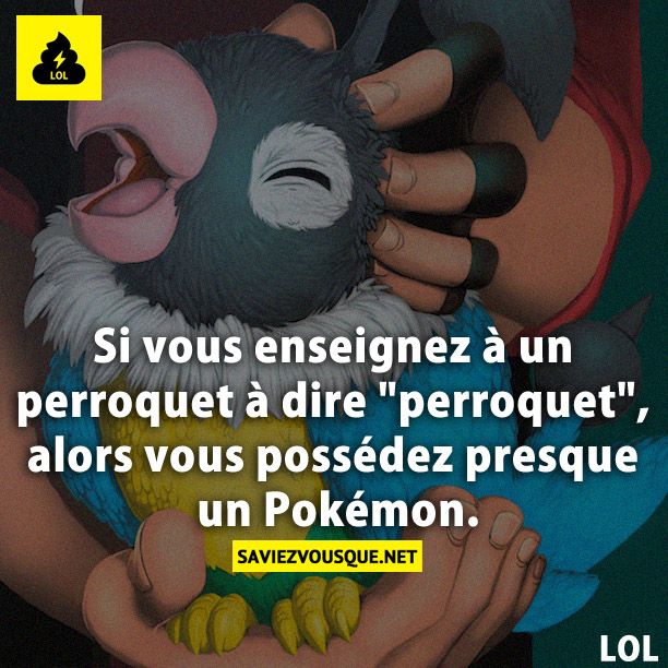 Si vous enseignez à un perroquet à dire &quot;perroquet&quot;, alors vous possédez presque un Pokémon.