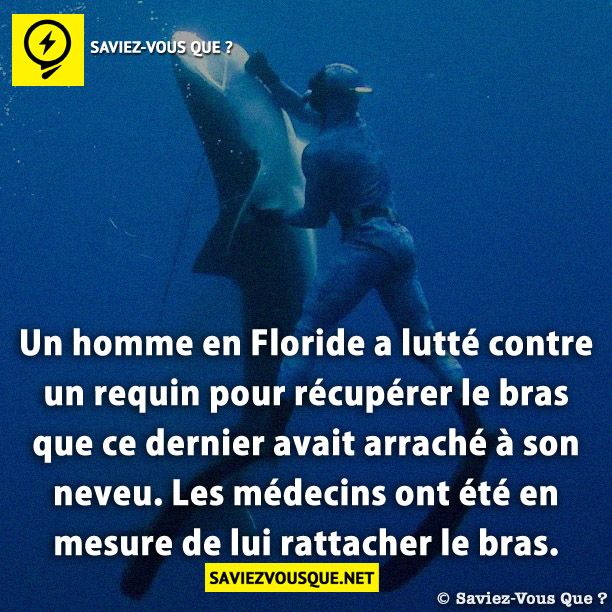 Un homme en Floride a lutté contre un requin pour récupérer le bras que ce dernier avait arraché à son neveu. Les médecins ont été en mesure de lui rattacher le bras.