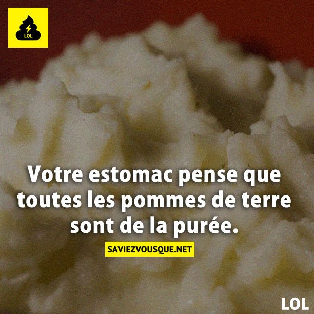 Votre estomac pense que toutes les pommes de terre sont de la purée.