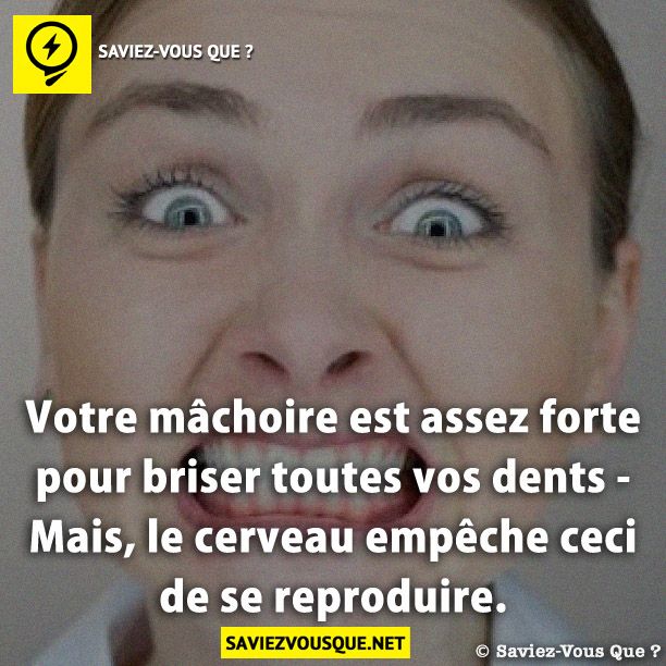 Votre mâchoire est assez forte pour briser toutes vos dents - mais, le cerveau empêche ceci de se reproduire.