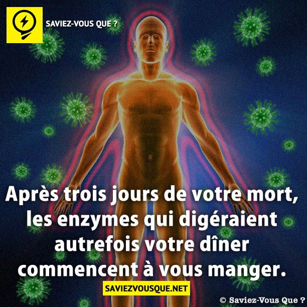 Après trois jours de votre mort, les enzymes qui digéraient autrefois votre dîner commencent à vous manger.