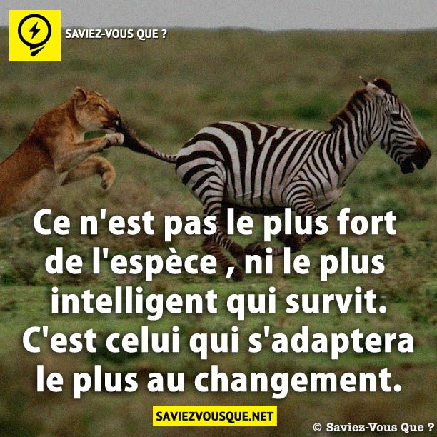 Ce n&#039;est pas le plus fort de l&#039;espèce , ni le plus intelligent qui survit. C&#039;est celui qui s&#039;adaptera le plus au changement.