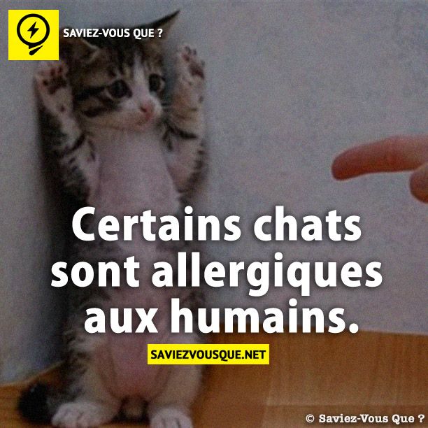 Certains chats sont allergiques aux humains.