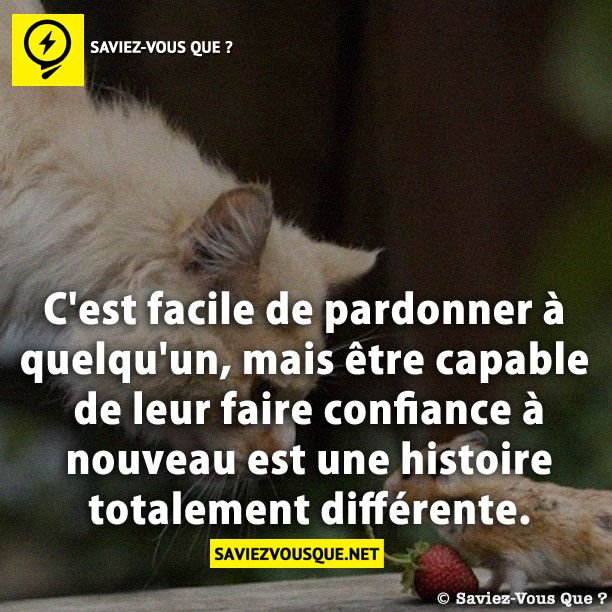 C'est facile de pardonner à quelqu'un, mais être capable de leur faire confiance à nouveau est une histoire totalement différente.