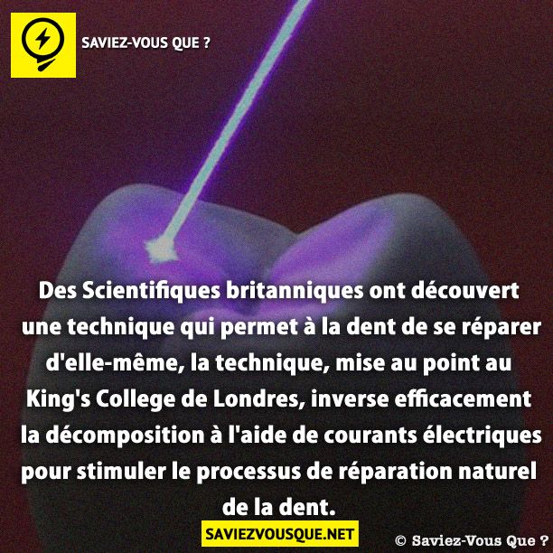Des Scientifiques britanniques ont découvert une technique qui permet à la dent de se réparer d&#039;elle-même, la technique, mise au point au King&#039;s College de Londres, inverse efficacement la décomposition à l&#039;aide de courants électriques pour stimuler le processus de réparation naturel de la dent.