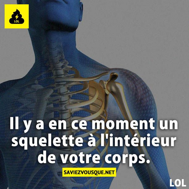 Il y a en ce moment un squelette à l'intérieur de votre corps.