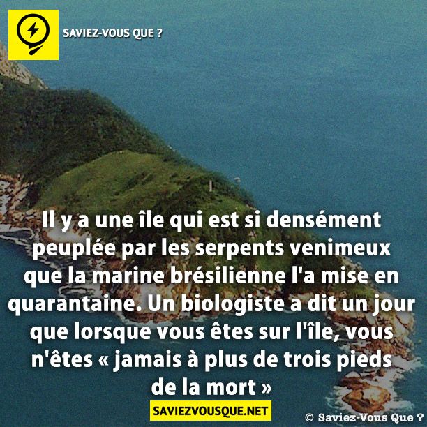 Il y a une île qui est si densément peuplée par les serpents venimeux que la marine brésilienne l&#039;a mise en quarantaine. Un biologiste a dit un jour que lorsque vous êtes sur l&#039;île, vous n&#039;êtes « jamais à plus de trois pieds de la mort »
