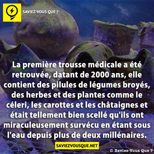 La première trousse médicale a été retrouvée, datant de 2000 ans, elle contient des pilules de légumes broyés, des herbes et des plantes comme le céleri, les carottes et les châtaignes et était tellement bien scellé qu&#039;ils ont miraculeusement survécu en étant sous l&#039;eau depuis plus de deux millénaires.