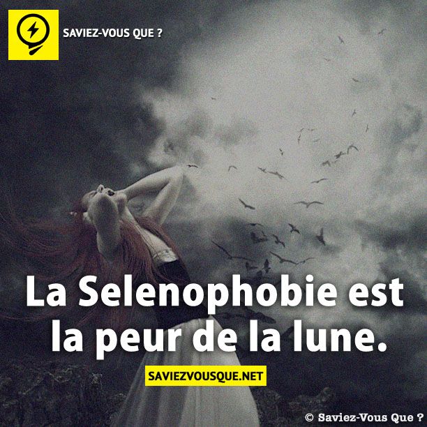 La Selenophobie est la peur de la lune.