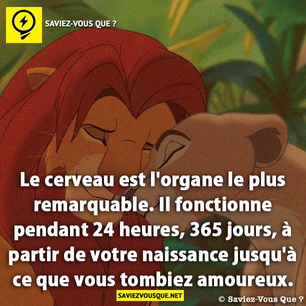 Le cerveau est l'organe le plus remarquable. Il fonctionne pendant 24 heures, 365 jours, à partir de votre naissance jusqu'à ce que vous tombiez amoureux.