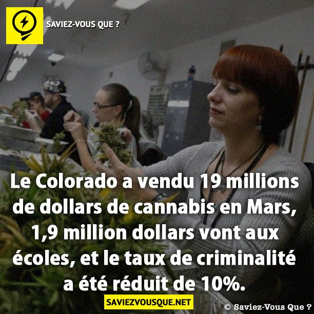 Le Colorado a vendu 19 millions de dollars de cannabis en Mars, 1,9 million dollars vont aux écoles, et le taux de criminalité a été réduit de 10%.