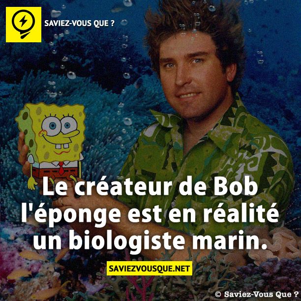 Le créateur de Bob l&#039;éponge est en réalité un biologiste marin.
