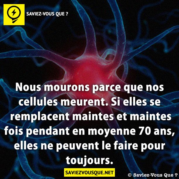 Nous mourons parce que nos cellules meurent. Si elles se remplacent maintes et maintes fois pendant en moyenne 70 ans, elles ne peuvent le faire pour toujours.