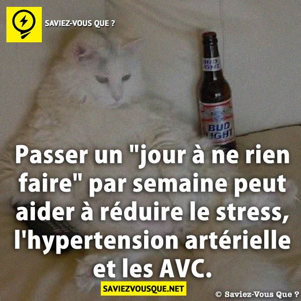 Passer un &quot;jour à ne rien faire&quot; par semaine peut aider à réduire le stress, l&#039;hypertension artérielle et les AVC.