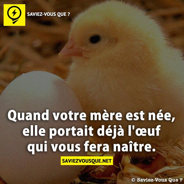Quand votre mère est née, elle portait déjà l&#039;œuf qui vous fera naître.