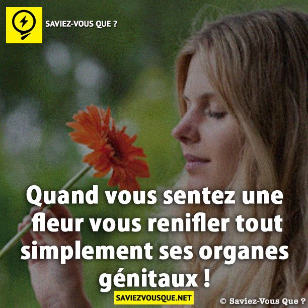 Quand vous sentez une fleur vous renifler tout simplement ses organes génitaux !