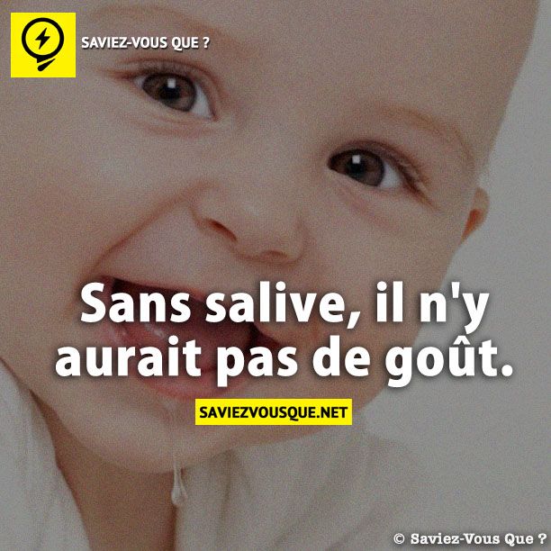 Sans salive, il n&#039;y aurait pas de goût.