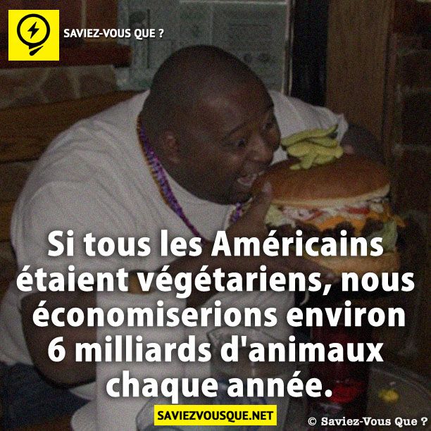 Si tous les Américains étaient végétariens, nous économiserions environ 6 milliards d&#039;animaux chaque année.