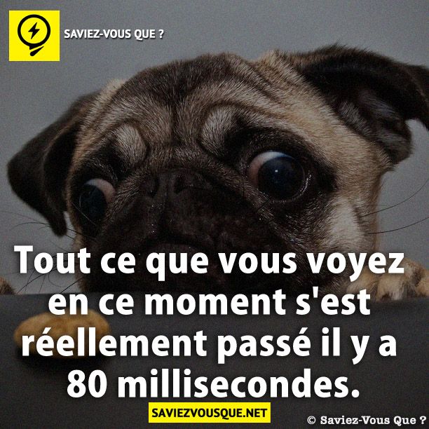 Tout ce que vous voyez en ce moment s&#039;est réellement passé il y a 80 millisecondes.