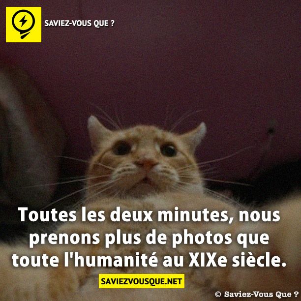 Toutes les deux minutes, nous prenons plus de photos que toute l&#039;humanité au XIXe siècle.