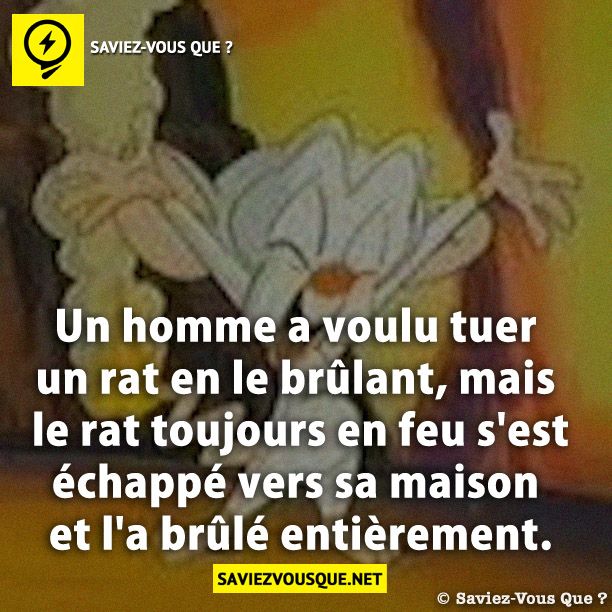 Un homme a voulu tuer un rat en le brûlant, mais le rat toujours en feu s'est échappé vers sa maison et l'a brûlé entièrement.