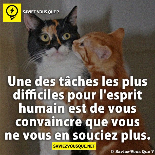 Une des tâches les plus difficiles pour l&#039;esprit humain est de vous convaincre que vous ne vous en souciez plus.