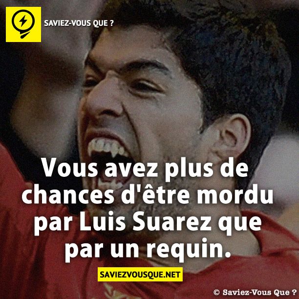 Vous avez plus de chances d&#039;être mordu par Luis Suarez que par un requin.