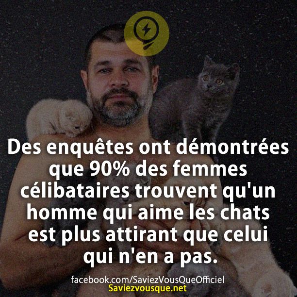 Des enquêtes ont démontrées que 90% des femmes célibataires trouvent qu'un homme qui aime les chats est plus attirant que celui qui n'en a pas.