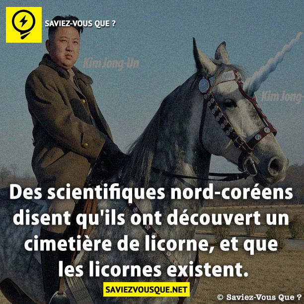 Des scientifiques nord-coréens disent qu&#039;ils ont découvert un cimetière de licorne, et que les licornes existent.