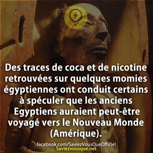 Des traces de coca et de nicotine retrouvées sur quelques momies égyptiennes ont conduit certains à spéculer que les anciens Egyptiens auraient peut-être voyagé vers le Nouveau Monde (Amérique).
