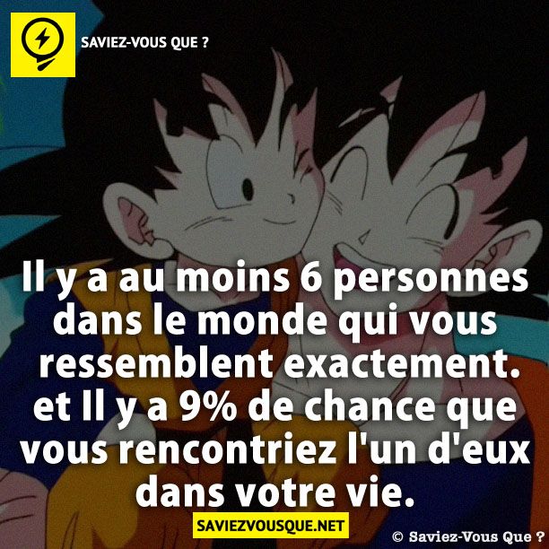 Il y a au moins 6 personnes dans le monde qui vous ressemblent exactement. et Il y a 9% de chance que vous rencontriez l'un d'eux dans votre vie.