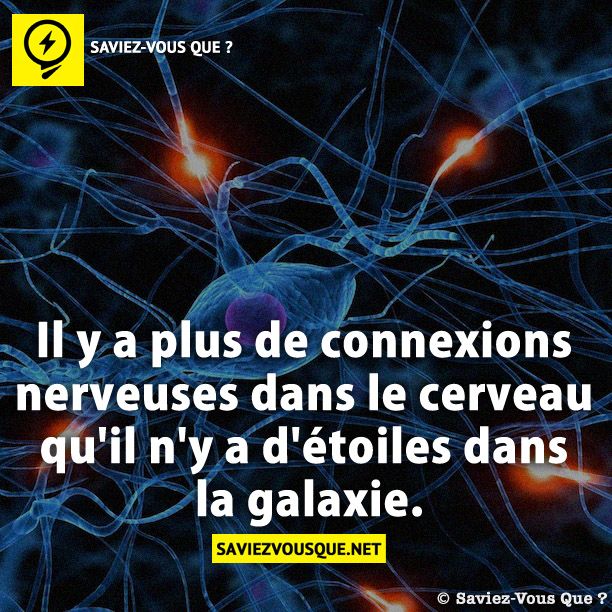 Il y a plus de connexions nerveuses dans le cerveau qu&#039;il n&#039;y a d&#039;étoiles dans la galaxie.