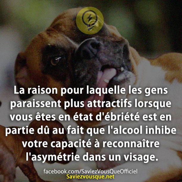 La raison pour laquelle les gens paraissent plus attractifs lorsque vous êtes en état d&#039;ébriété est en partie dû au fait que l&#039;alcool inhibe votre capacité à reconnaître l&#039;asymétrie dans un visage.