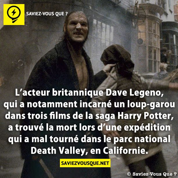 L’acteur britannique Dave Legeno, qui a notamment incarné un loup-garou dans trois films de la saga Harry Potter, a trouvé la mort lors d’une expédition qui a mal tourné dans le parc national Death Valley, en Californie.