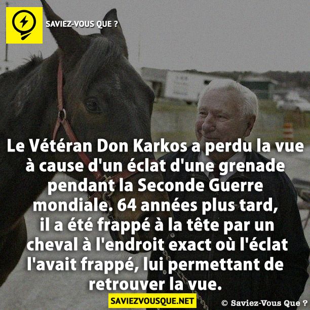 Le Vétéran Don Karkos a perdu la vue à cause d&#039;un éclat d&#039;une grenade pendant la Seconde Guerre mondiale. 64 années plus tard, il a été frappé à la tête par un cheval à l&#039;endroit exact où l&#039;éclat l&#039;avait frappé, lui permettant de retrouver la vue.
