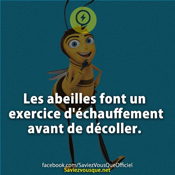 Les abeilles font un exercice d&#039;échauffement avant de décoller.