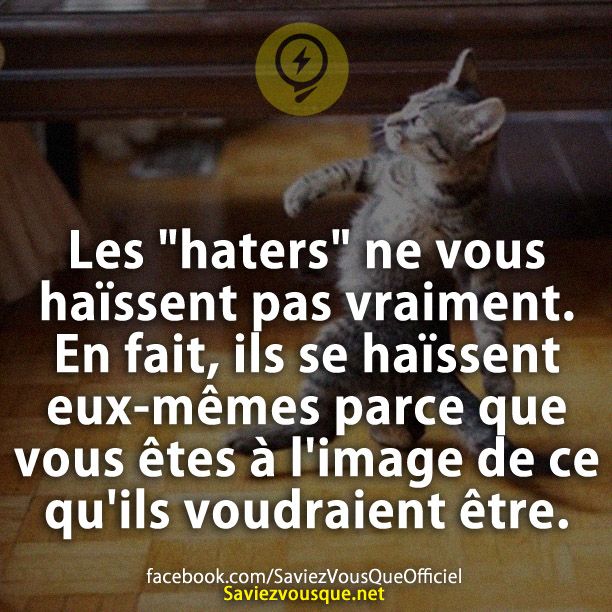 Les "haters" ne vous haïssent pas vraiment. En fait, ils se haïssent eux-mêmes parce que vous êtes à l'image de ce qu'ils voudraient être.