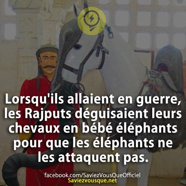 Lorsqu&#039;ils allaient en guerre, les Rajputs déguisaient leurs chevaux en bébé éléphants pour que les éléphants ne les attaquent pas.