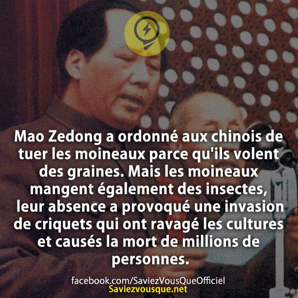 Mao Zedong a ordonné aux chinois de tuer les moineaux parce qu&#039;ils volent des graines. Mais les moineaux mangent également des insectes, leur absence a provoqué une invasion de criquets qui ont ravagé les cultures et causés la mort de millions de personnes