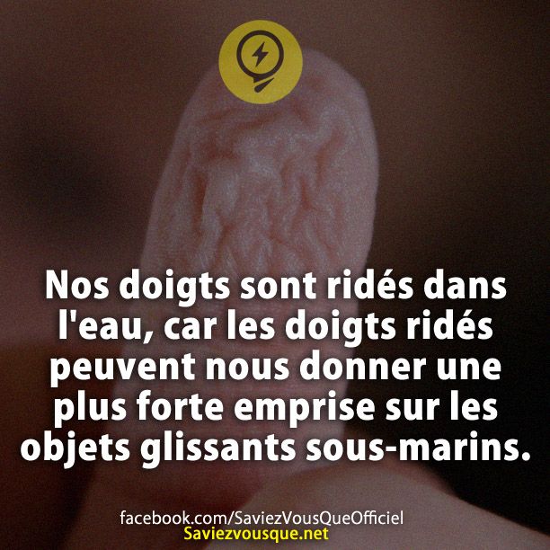 Nos doigts sont ridés dans l'eau, car les doigts ridés peuvent nous donner une plus forte emprise sur les objets glissants sous-marins.