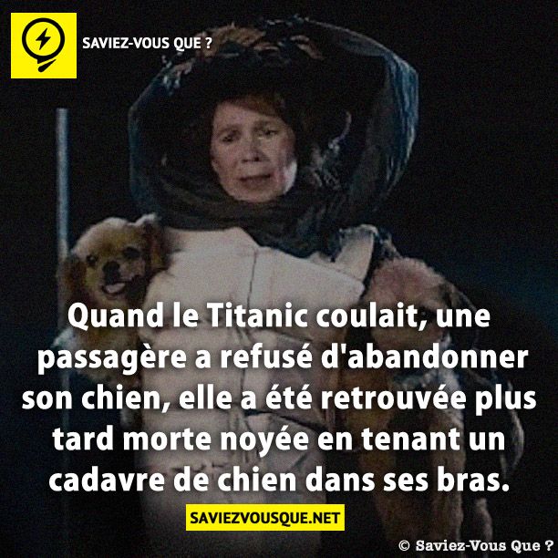 Quand le Titanic coulait, une passagère a refusé d&#039;abandonner son chien, elle a été retrouvée plus tard morte noyée en tenant un cadavre de chien dans ses bras.